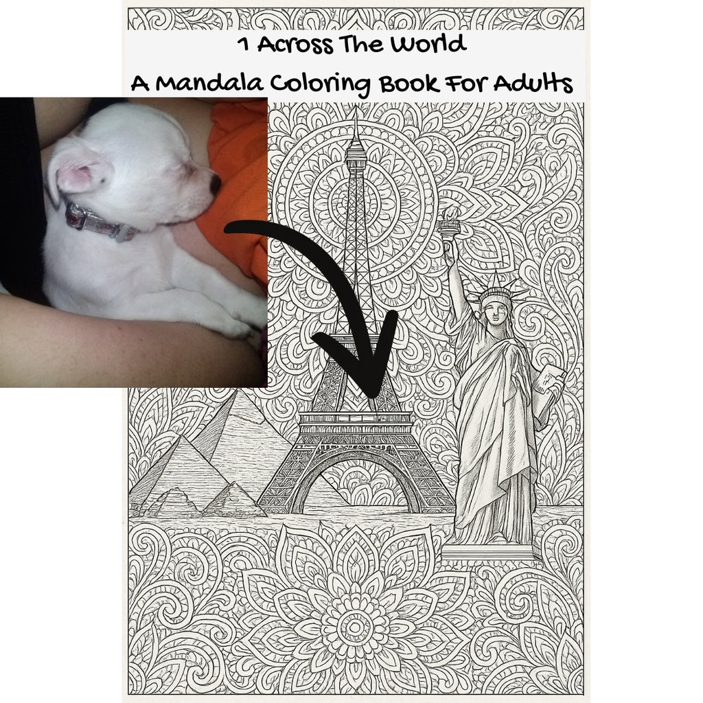 1 Across The World: A Mandala Coloring Book For Adults