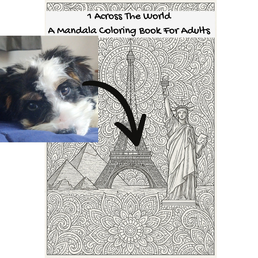 1 Across The World: A Mandala Coloring Book For Adults