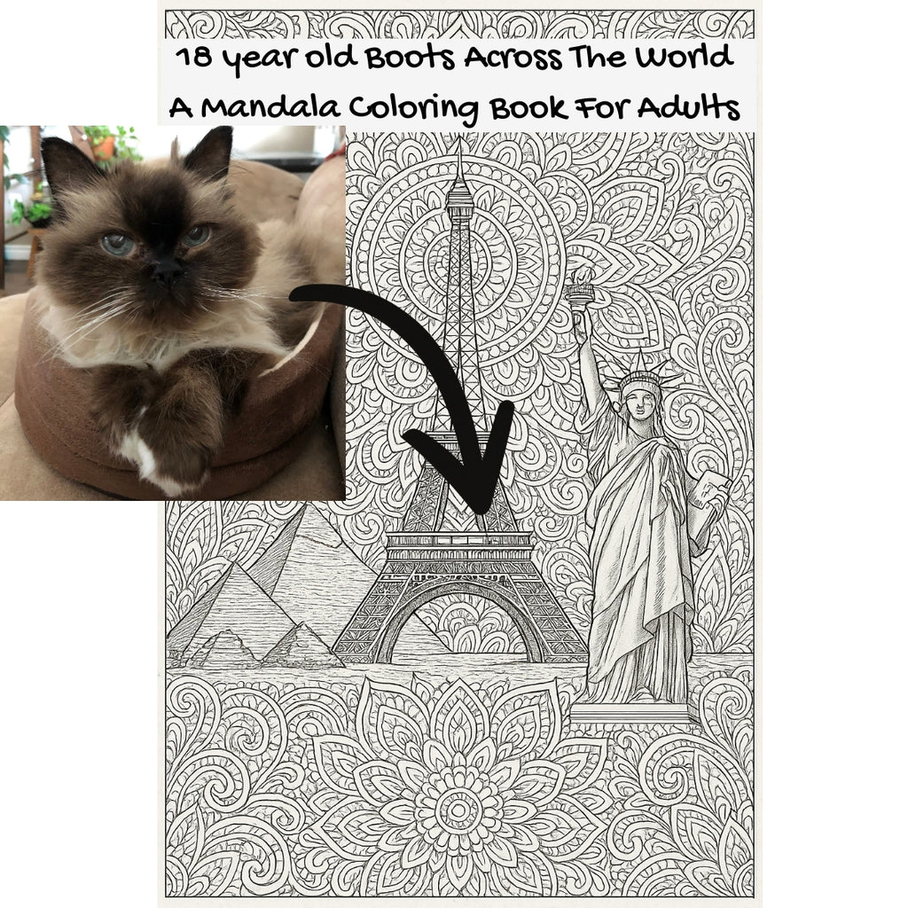 18 year old Boots Across The World: A Mandala Coloring Book For Adults