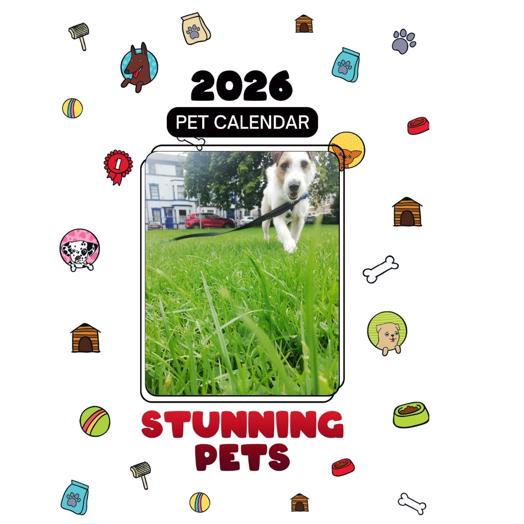 1 Headlines Stunning Pets: A 2026 Pet Calendar