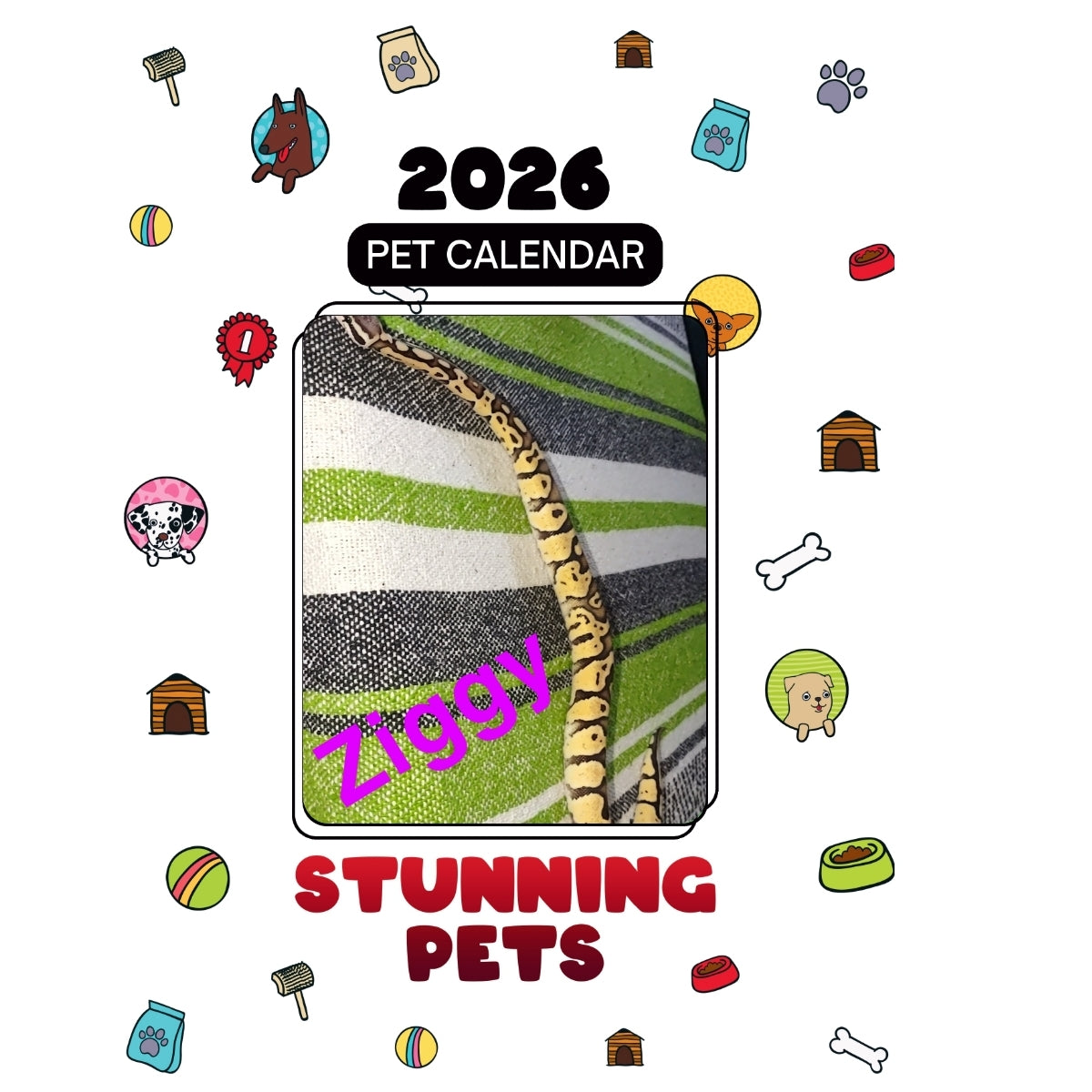 Ziggy Headlines Stunning Pets: A 2026 Pet Calendar