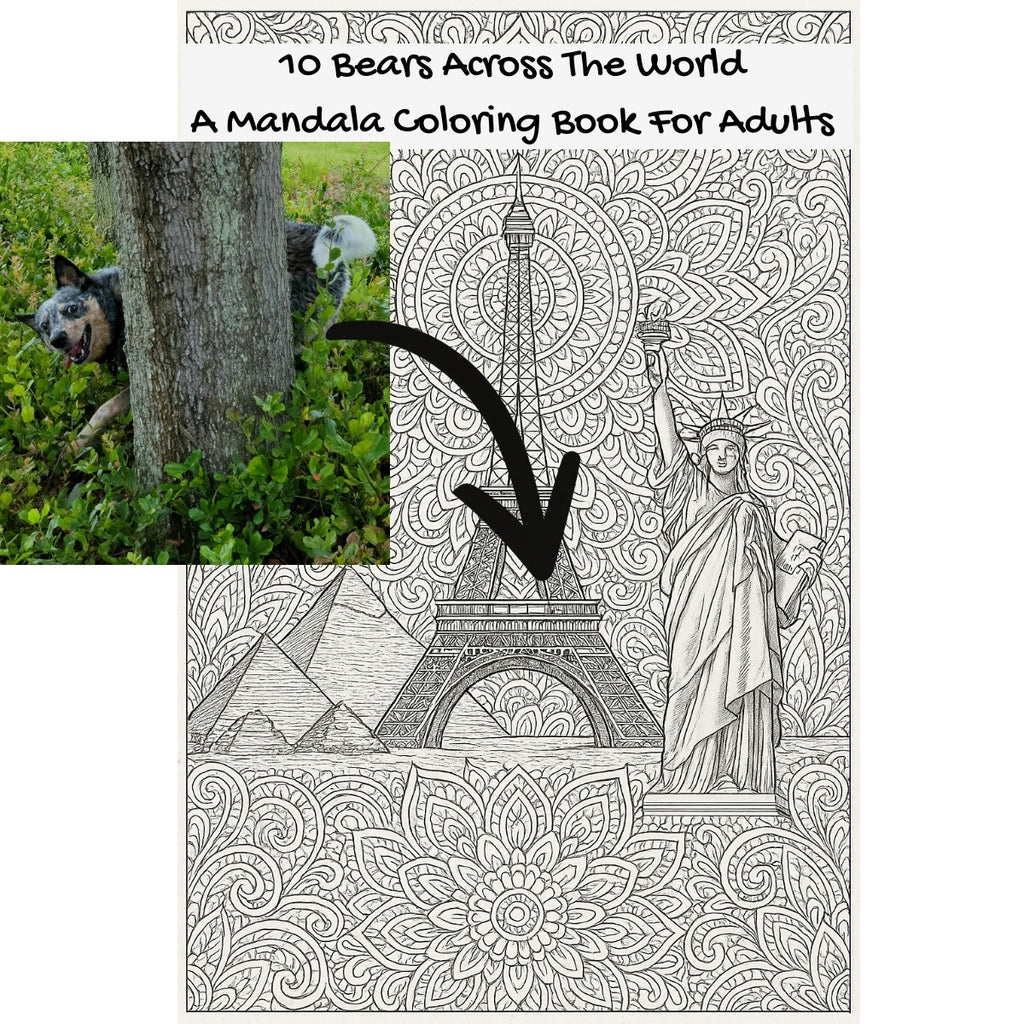 10 Bears Across The World: A Mandala Coloring Book For Adults
