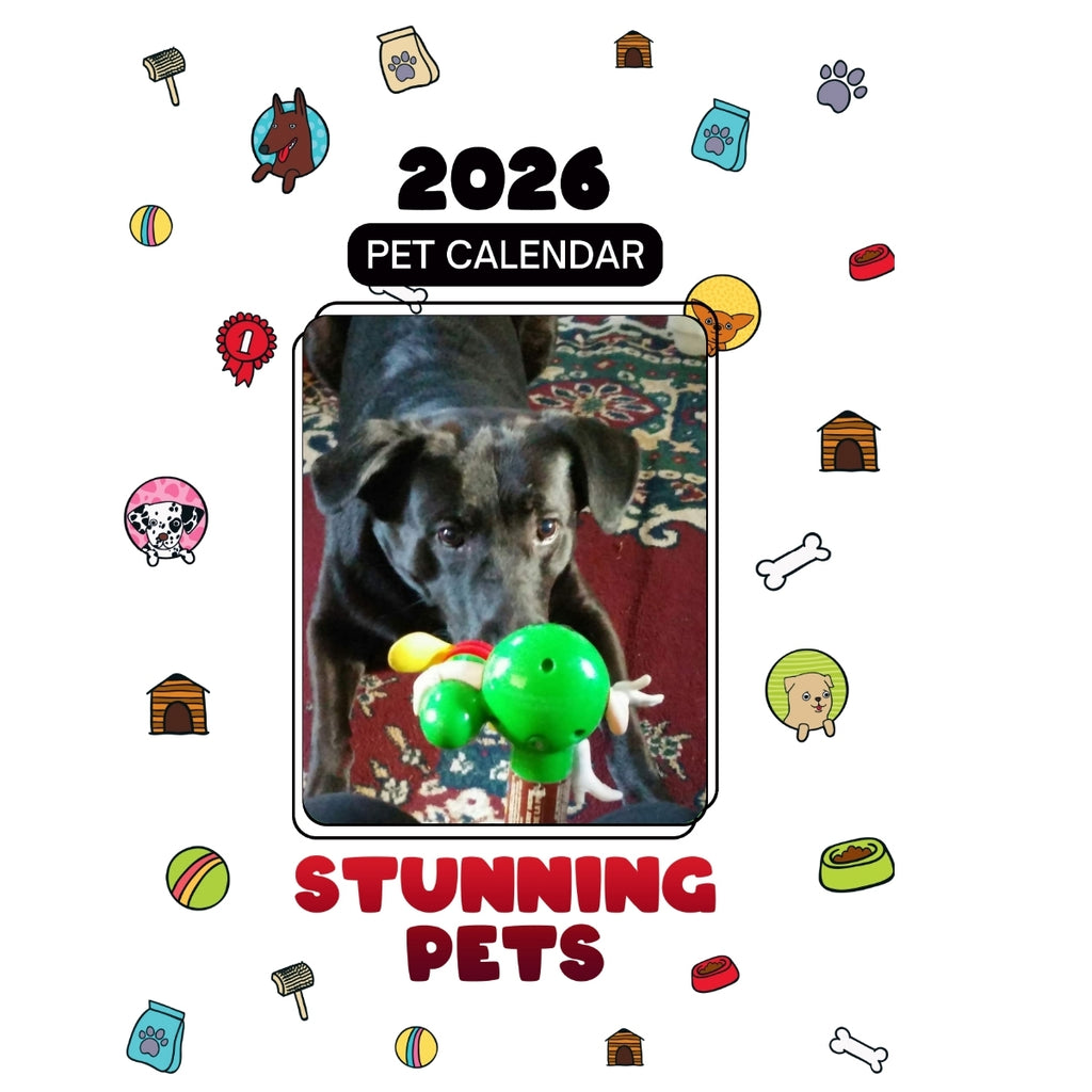 1 Headlines Stunning Pets: A 2026 Pet Calendar