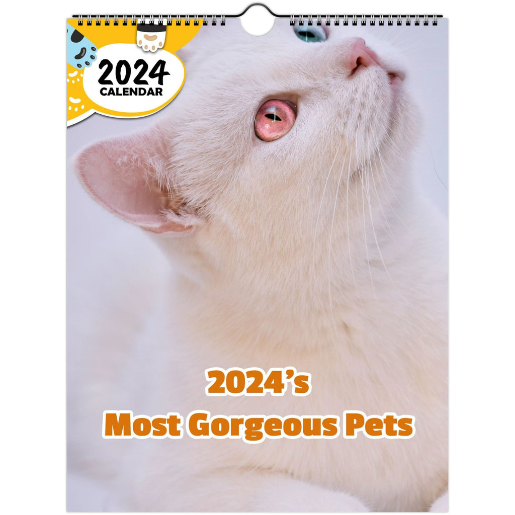 2024's Most Gorgeous Pets: 2024 Wall Calendar (Published)