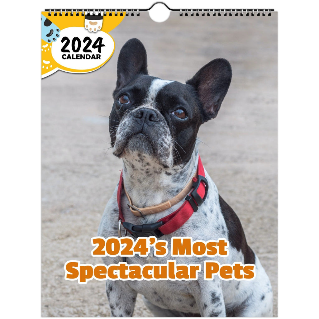 2024's Most Spectacular Pets: 2024 Wall Calendar (Published)