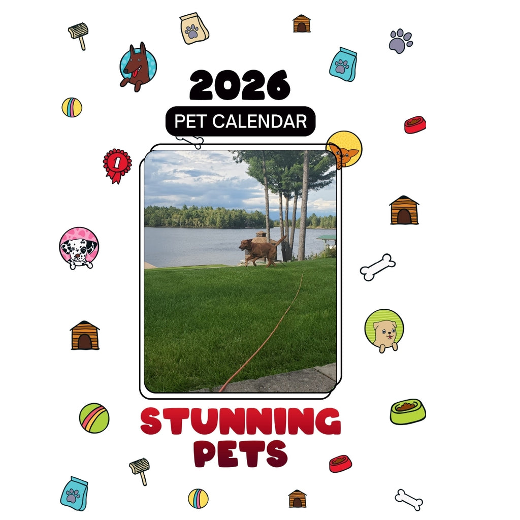1 dog Headlines Stunning Pets: A 2026 Pet Calendar