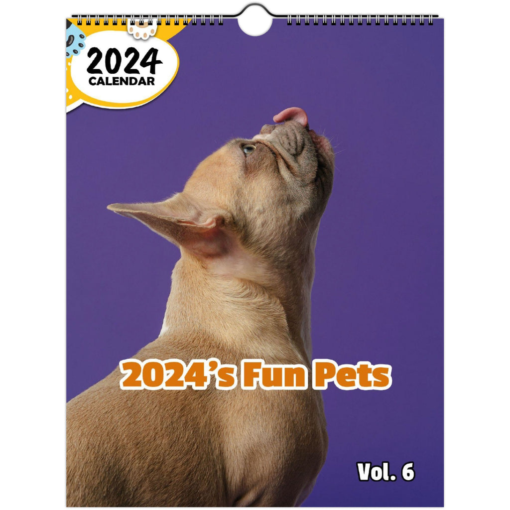 2024's Fun Pets Volume Six: 2024 Wall Calendar (Published)