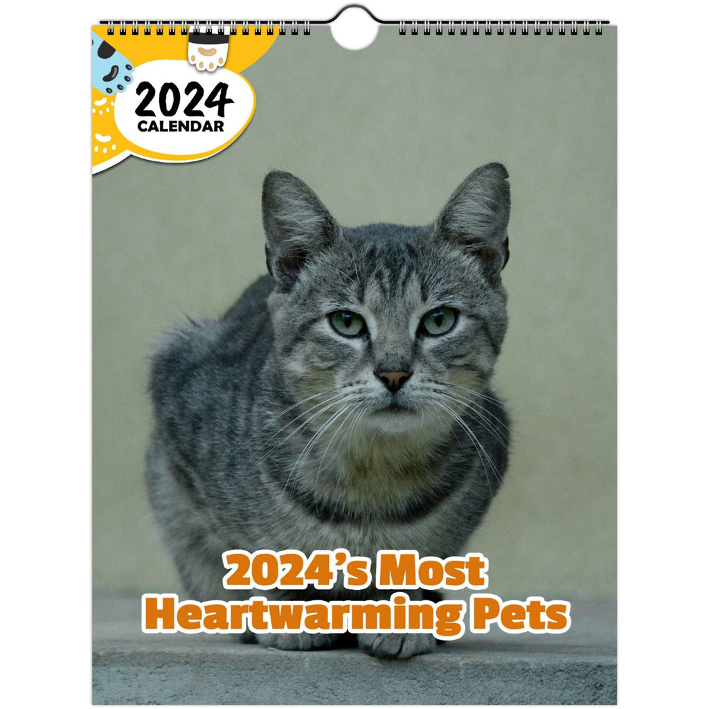 2024's Most Heartwarming Pets: 2024 Wall Calendar (Published)