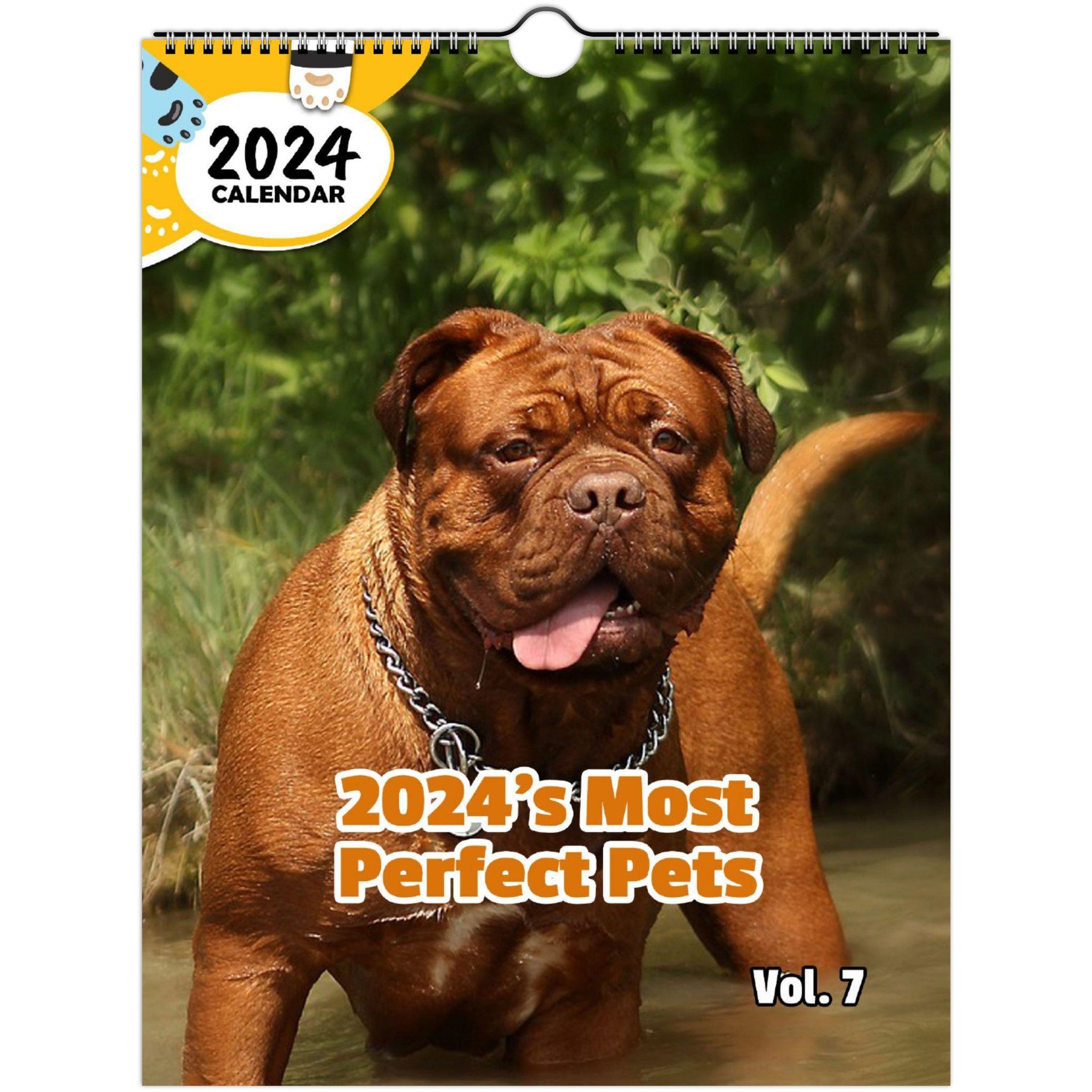 2024's Most Perfect Pets Volume Seven: 2024 Wall Calendar (Published)