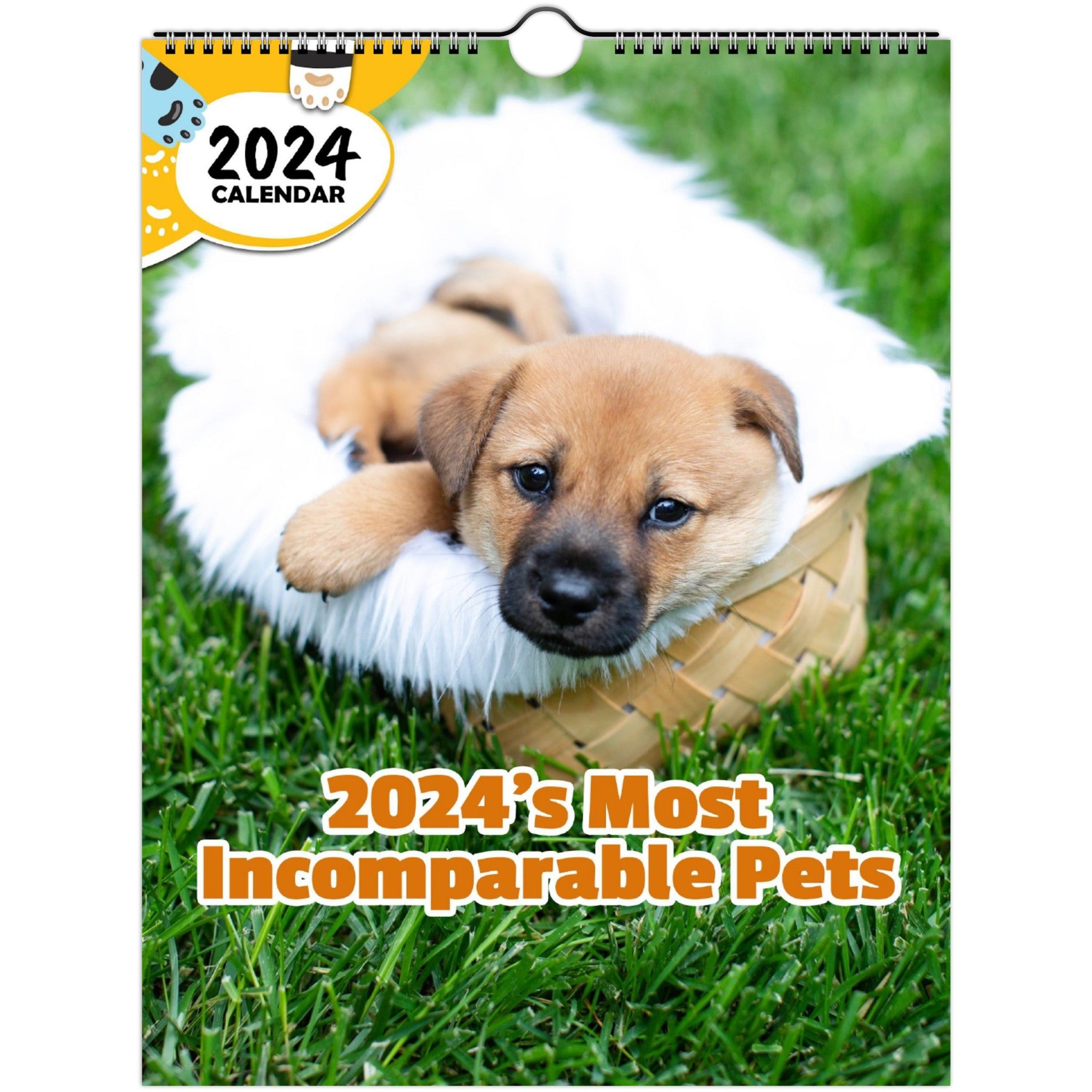 2024's Most Incomparable Pets: 2024 Wall Calendar (Published)