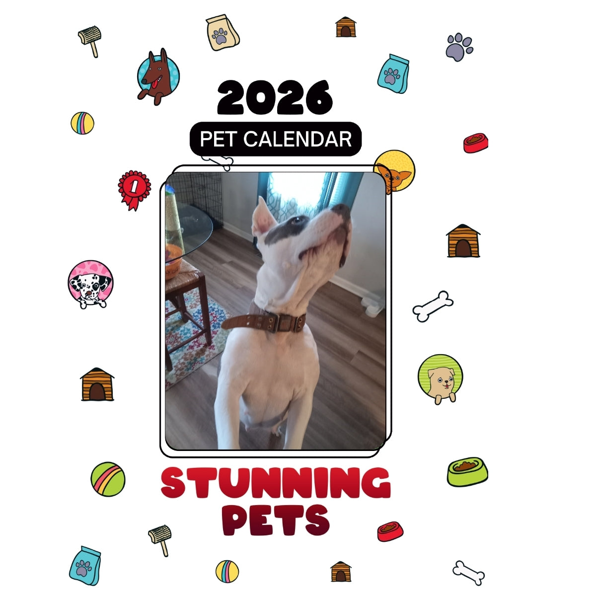 2Tonebabygirl Headlines Stunning Pets: A 2026 Pet Calendar