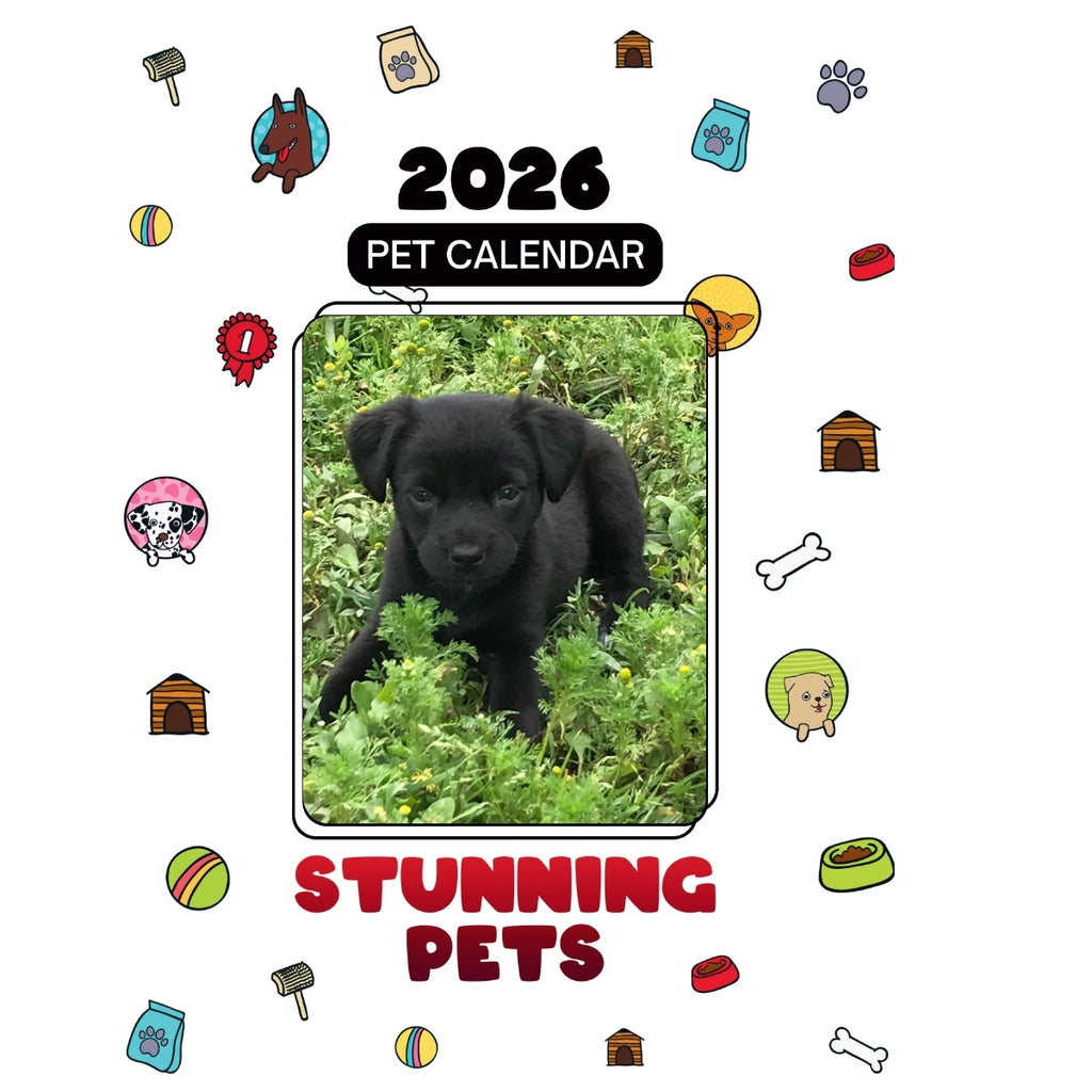 1 pet Headlines Stunning Pets: A 2026 Pet Calendar