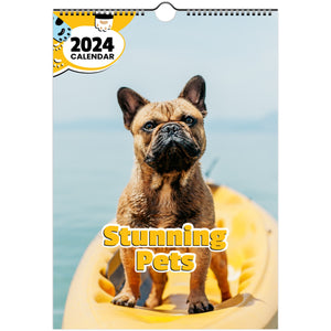 Stunning Pets: 2024 Wall Calendar (Australia)