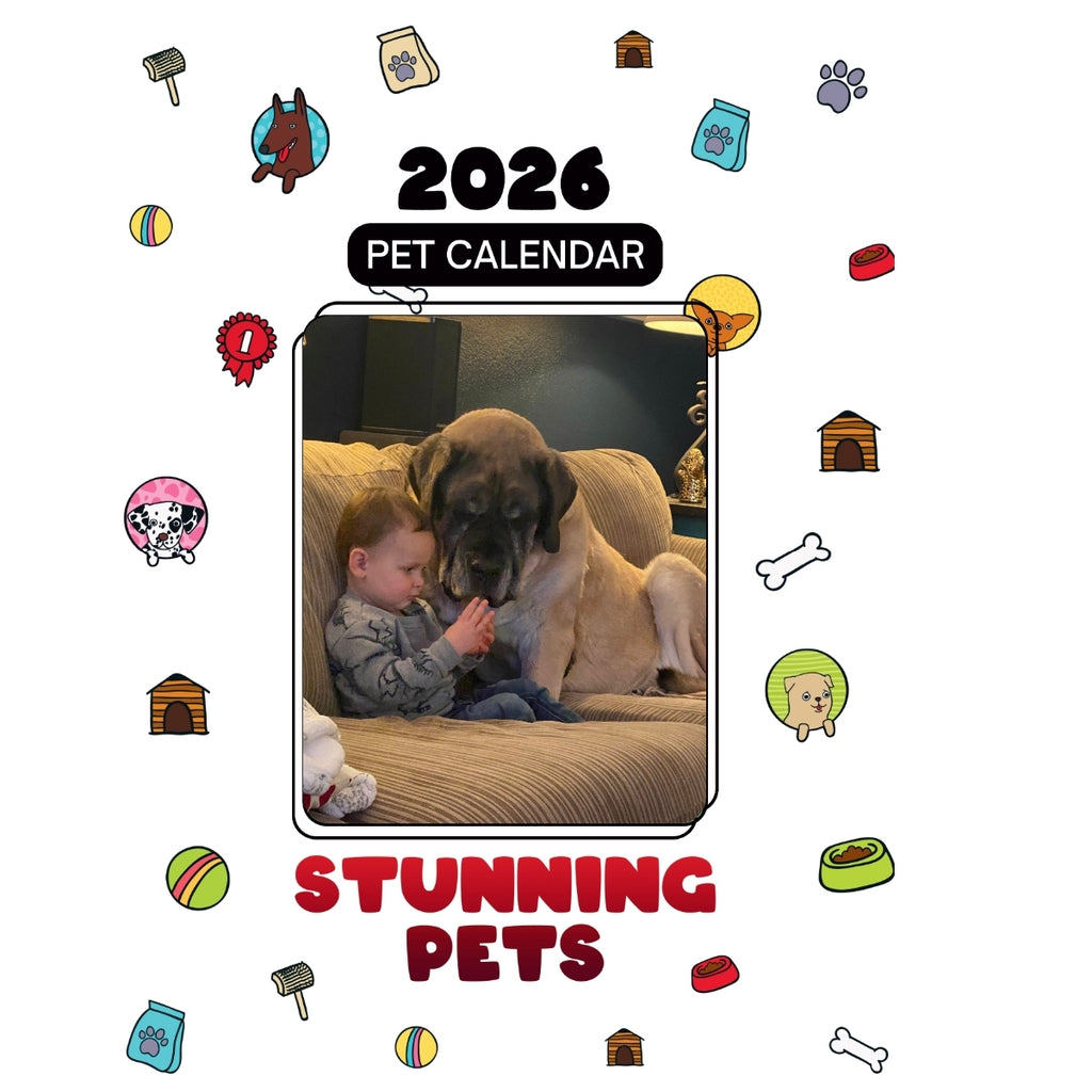 English Mastiff Headlines Stunning Pets: A 2026 Pet Calendar