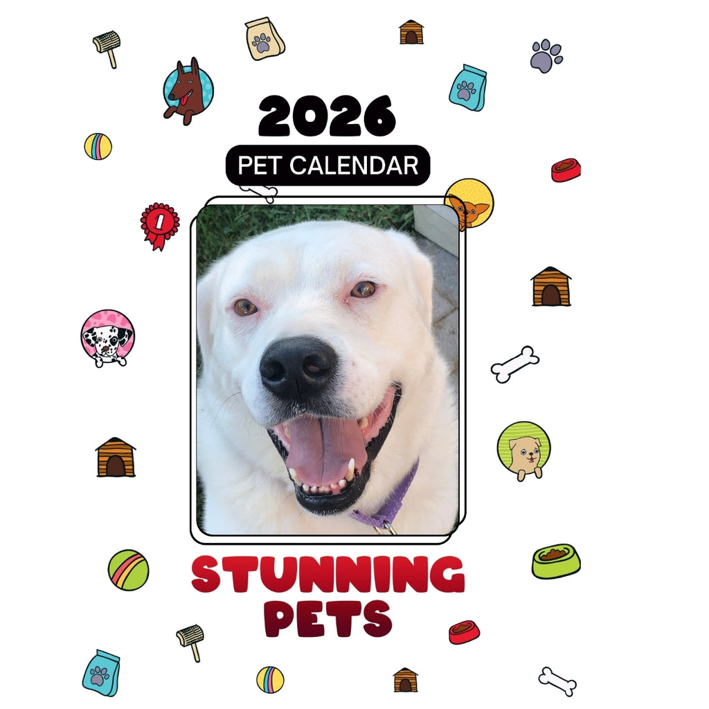 1 Headlines Stunning Pets: A 2026 Pet Calendar