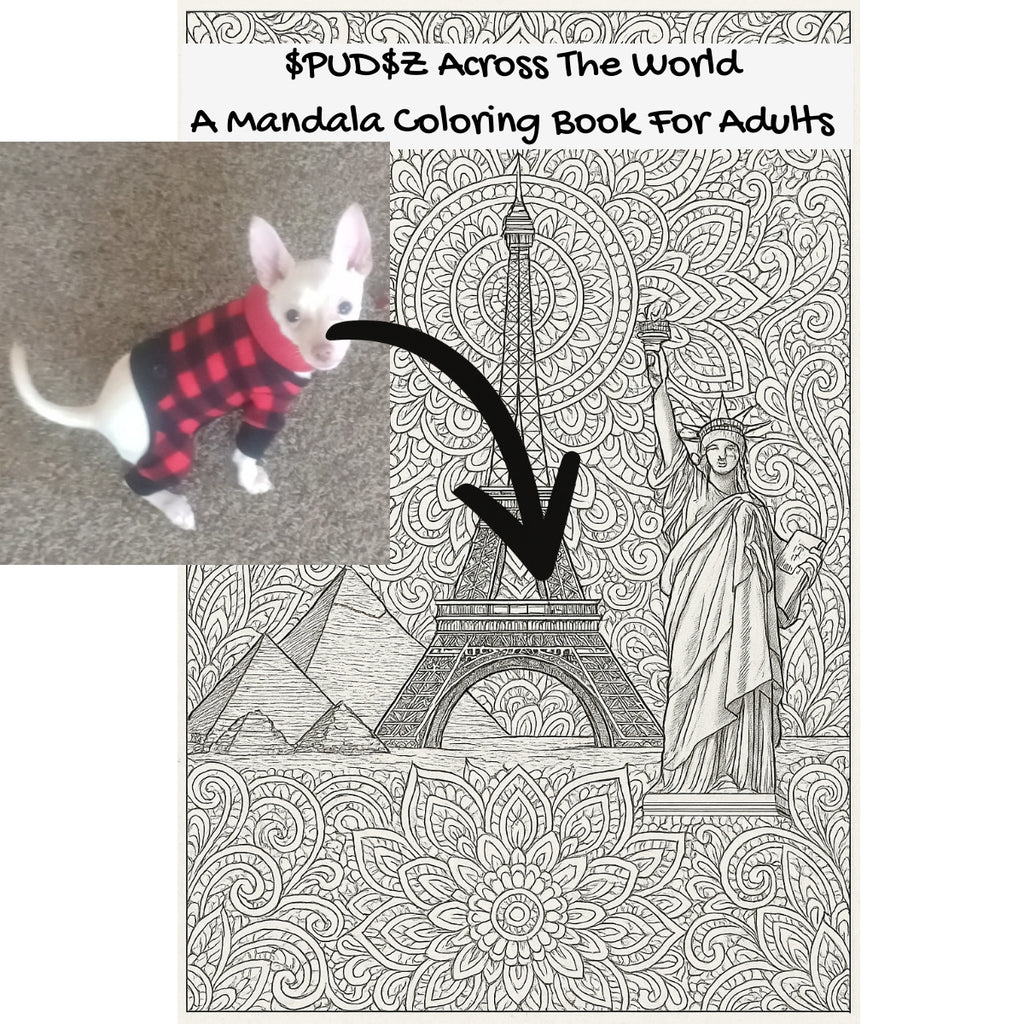 $PUD$Z Across The World: A Mandala Coloring Book For Adults