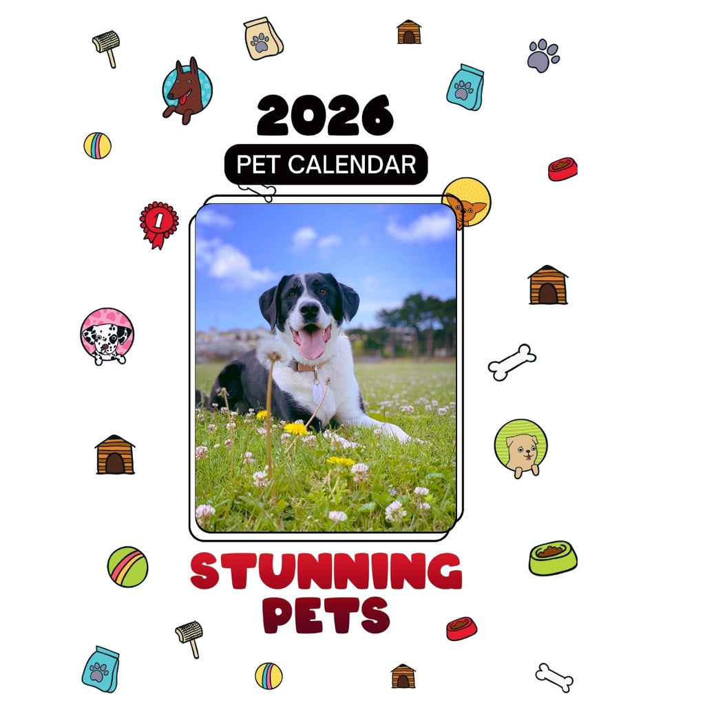 Labrador Retriever Shines in Stunning Pets: A 2026 Pet Calendar