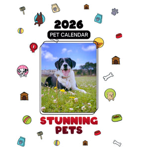 Labrador Retriever Shines in Stunning Pets: A 2026 Pet Calendar