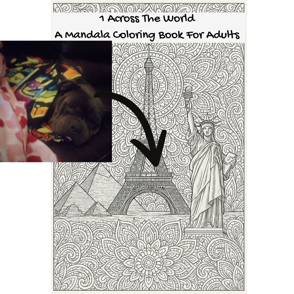 1 Across The World: A Mandala Coloring Book For Adults