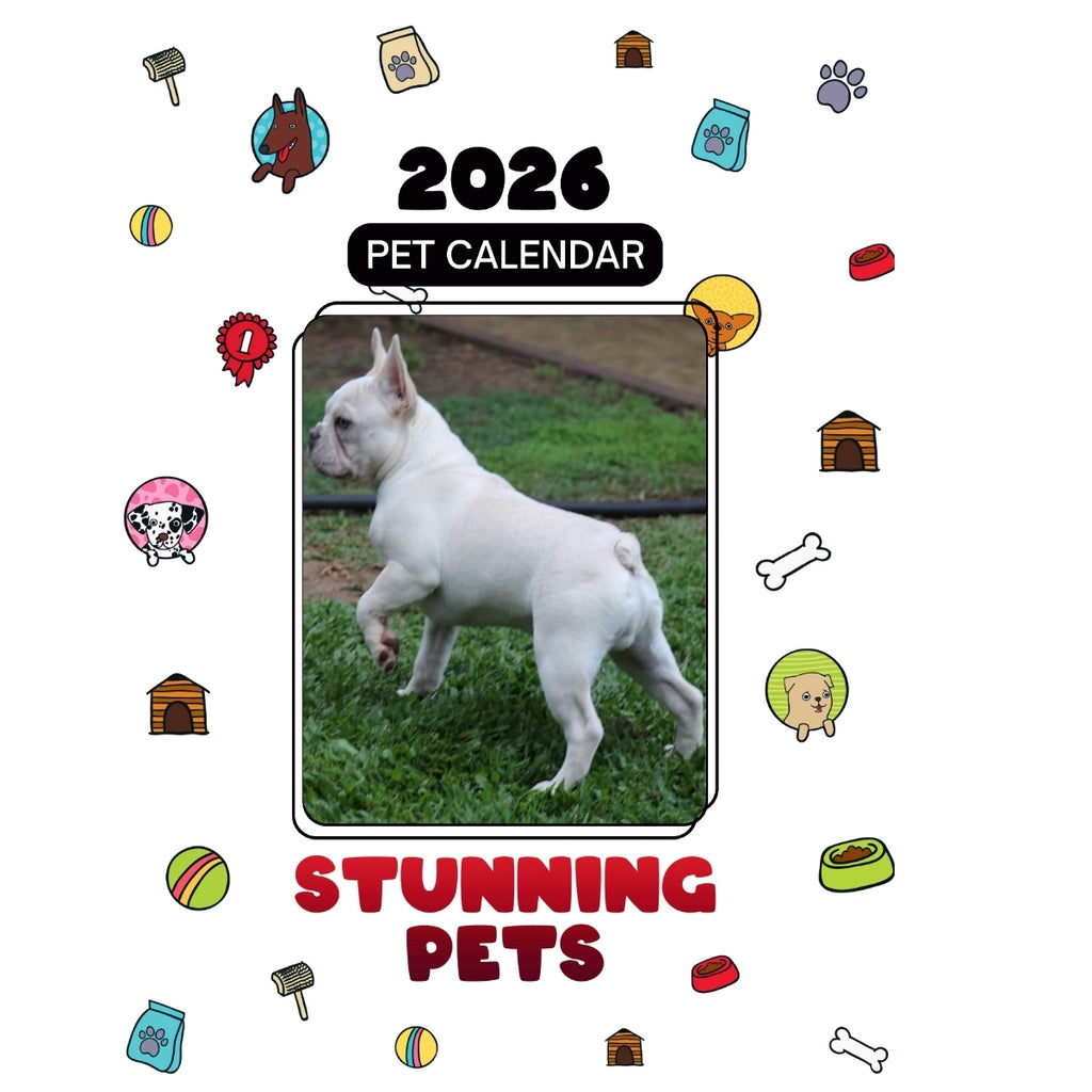 1 Headlines Stunning Pets: A 2026 Pet Calendar
