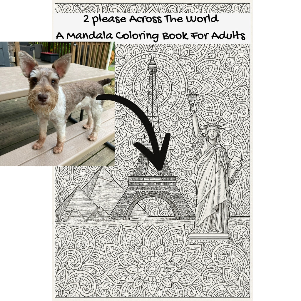 2 please Across The World: A Mandala Coloring Book For Adults