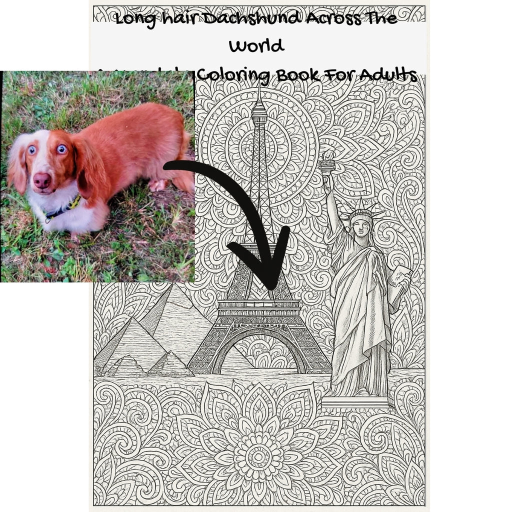 Long hair Dachshund Across The World: A Mandala Coloring Book For Adults
