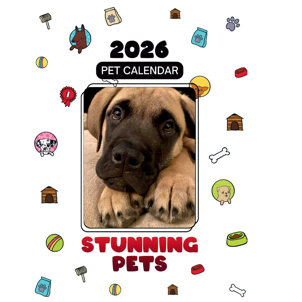 3 Headlines Stunning Pets: A 2026 Pet Calendar
