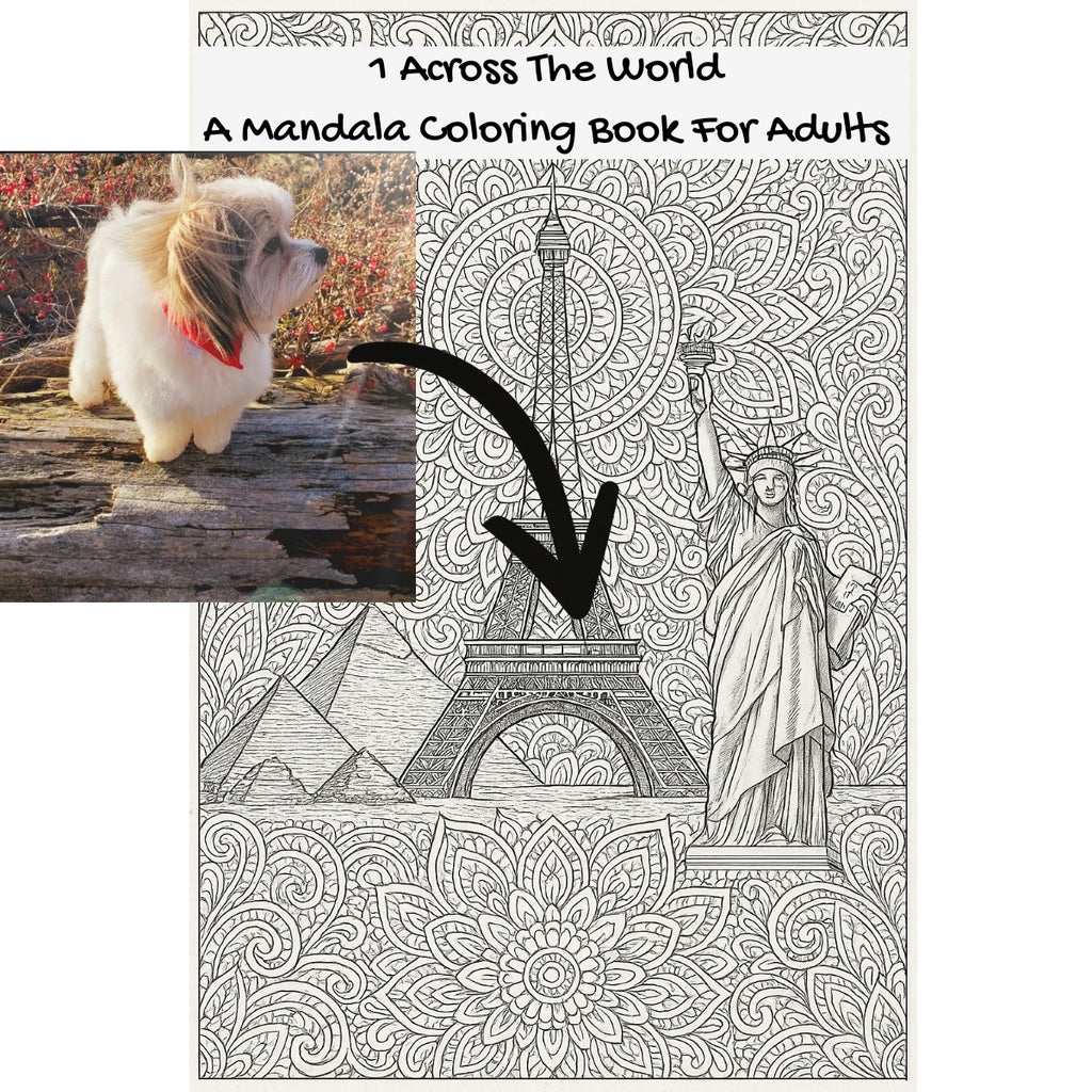 1 Across The World: A Mandala Coloring Book For Adults
