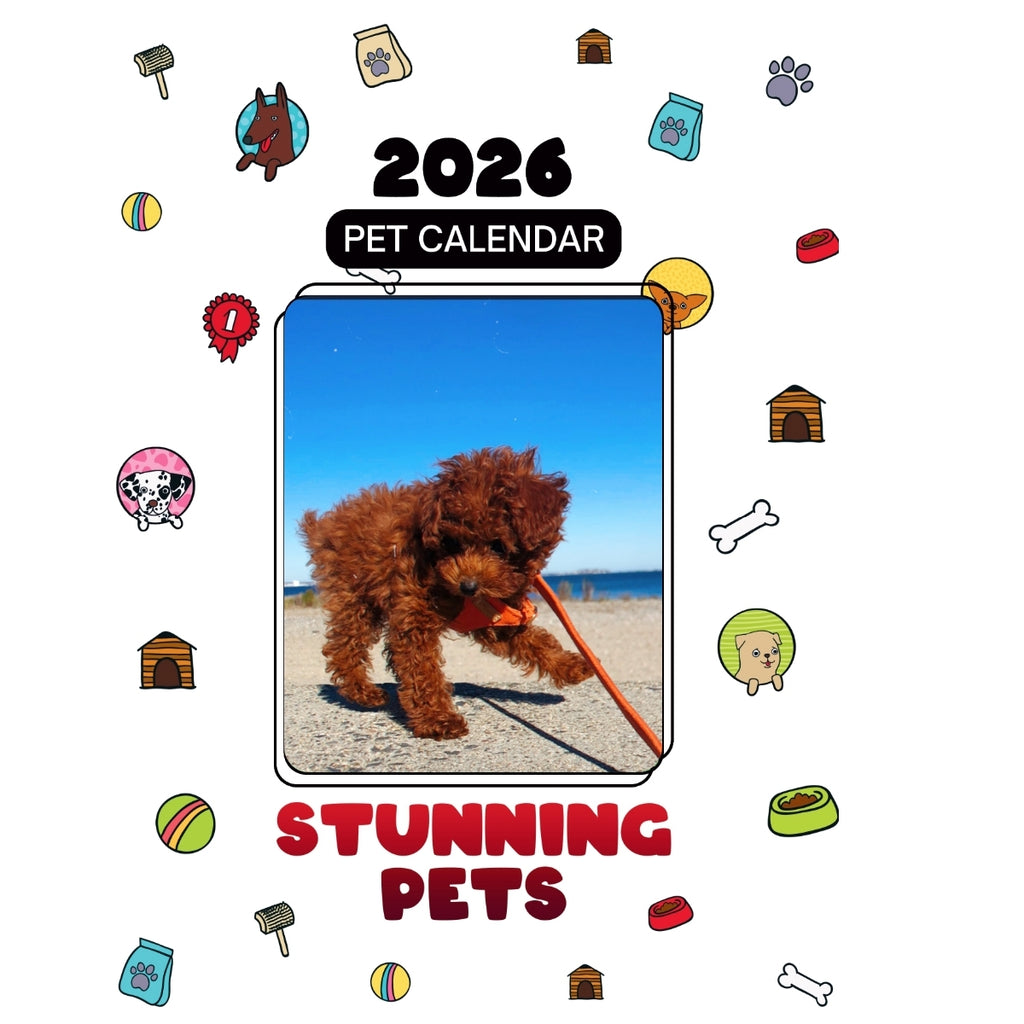 24 Karat Gold Headlines Stunning Pets: A 2026 Pet Calendar