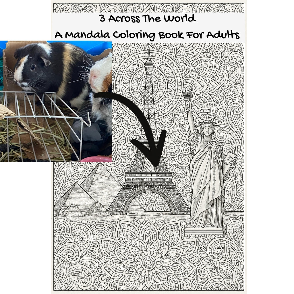 3 Across The World: A Mandala Coloring Book For Adults