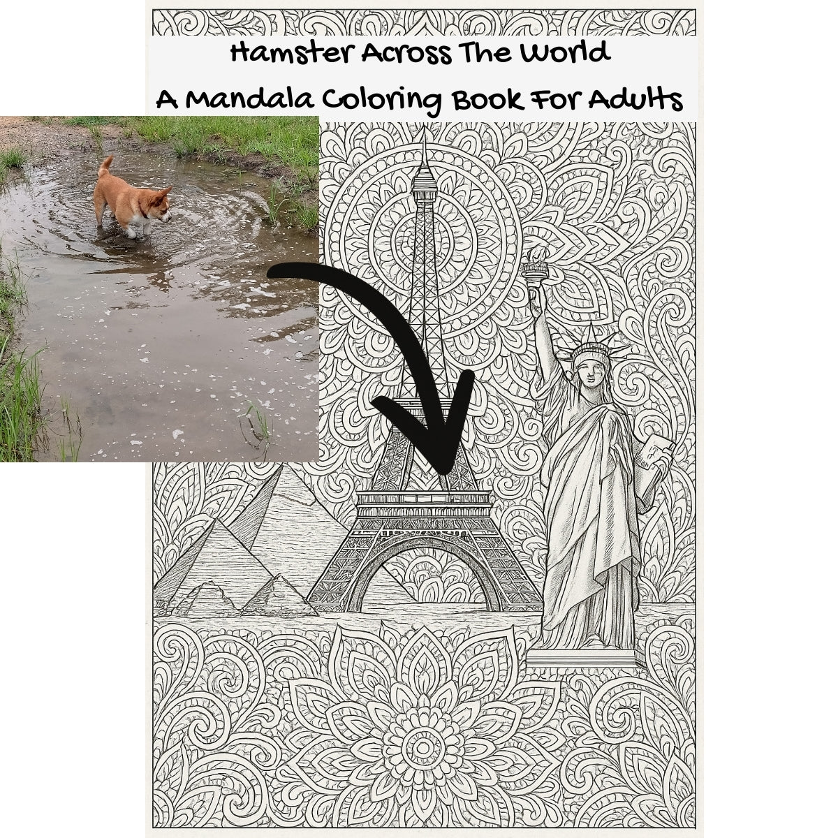 Hamster Across The World: A Mandala Coloring Book For Adults