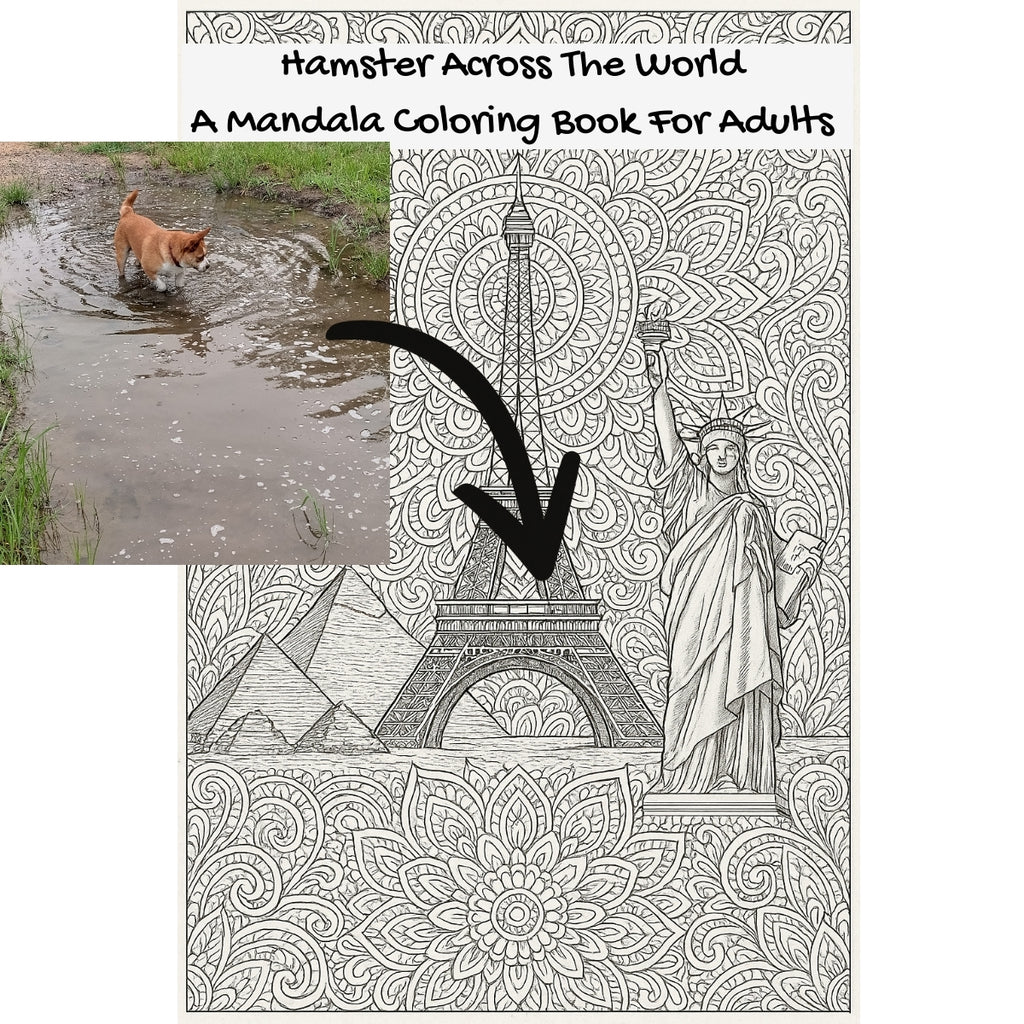 Hamster Across The World: A Mandala Coloring Book For Adults
