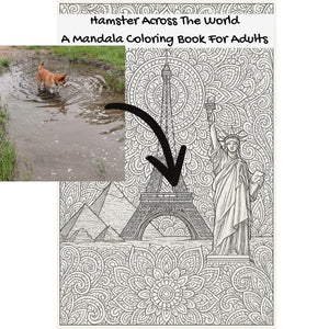Hamster Across The World: A Mandala Coloring Book For Adults