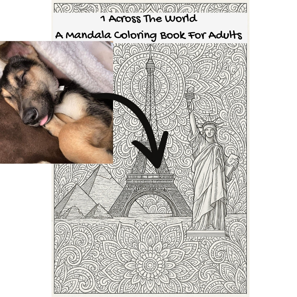 1 Across The World: A Mandala Coloring Book For Adults