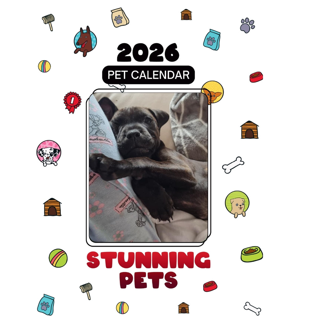 1 Headlines Stunning Pets: A 2026 Pet Calendar
