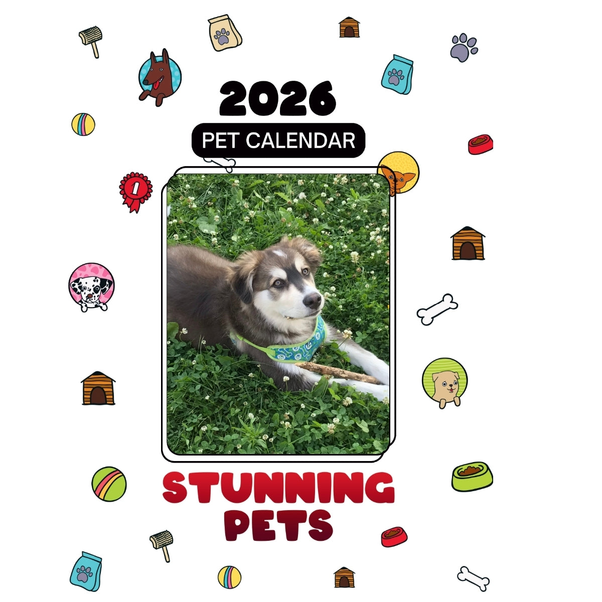 1 Headlines Stunning Pets: A 2026 Pet Calendar
