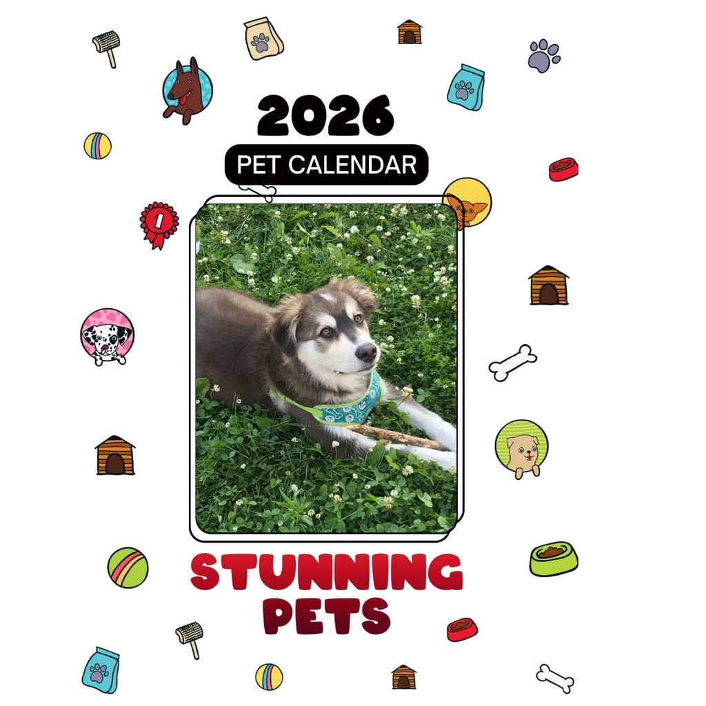 1 Headlines Stunning Pets: A 2026 Pet Calendar