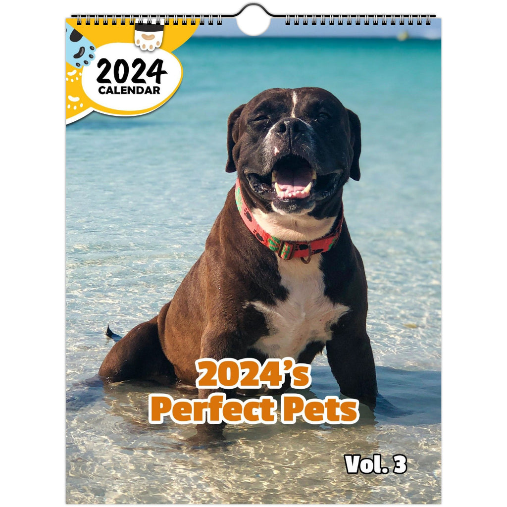 2024's Perfect Pets Volume Three: 2024 Wall Calendar (Published)