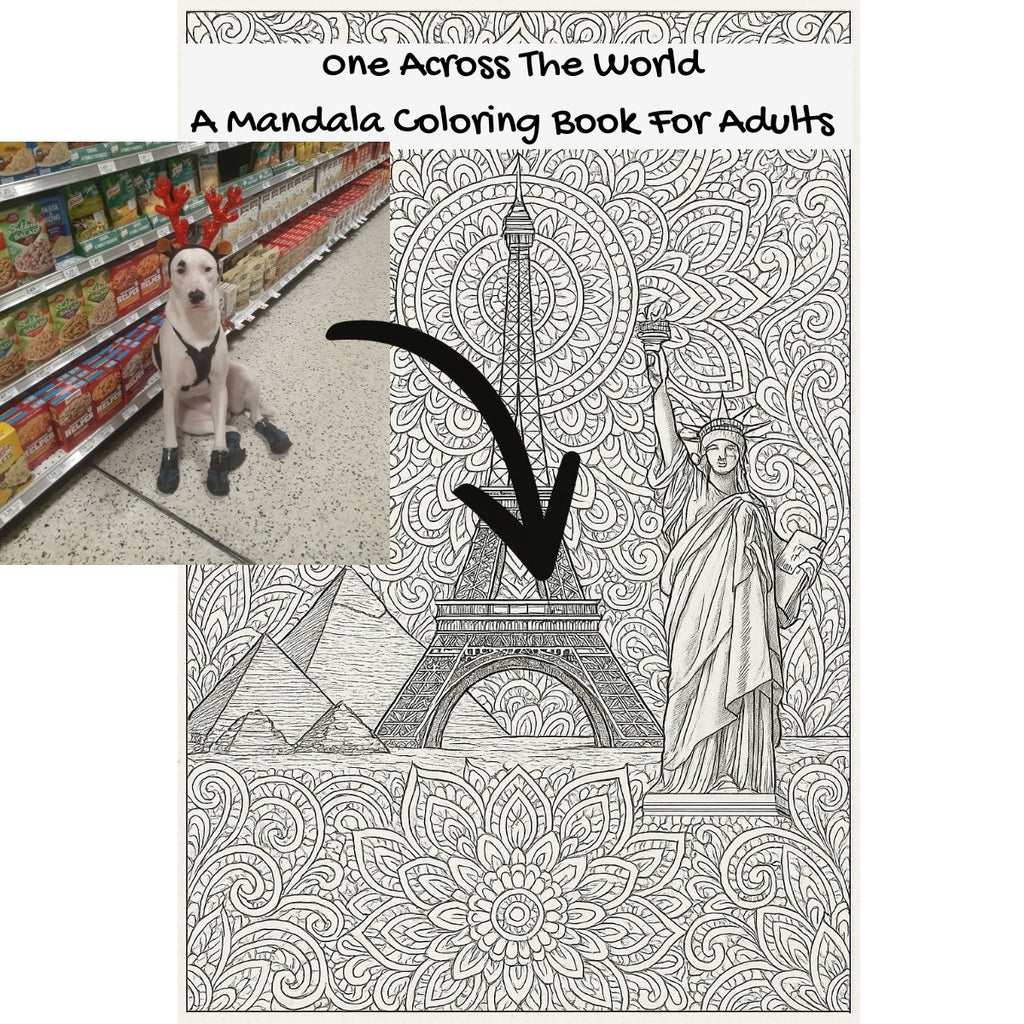 0ne Across The World: A Mandala Coloring Book For Adults