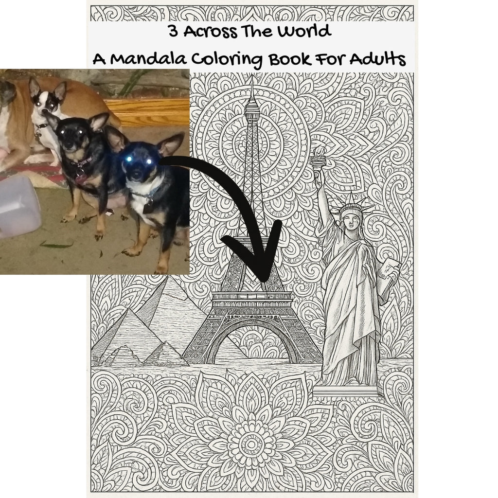 3 Across The World: A Mandala Coloring Book For Adults
