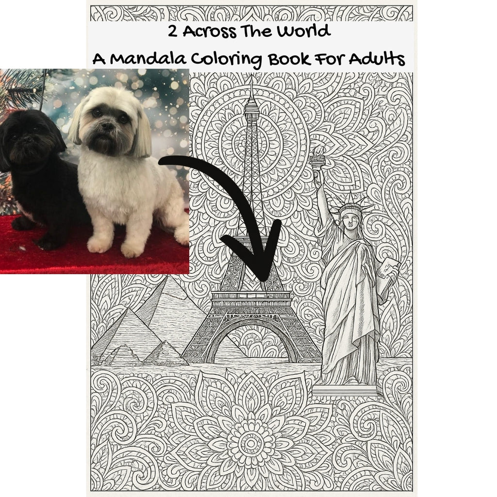 2 Across The World: A Mandala Coloring Book For Adults