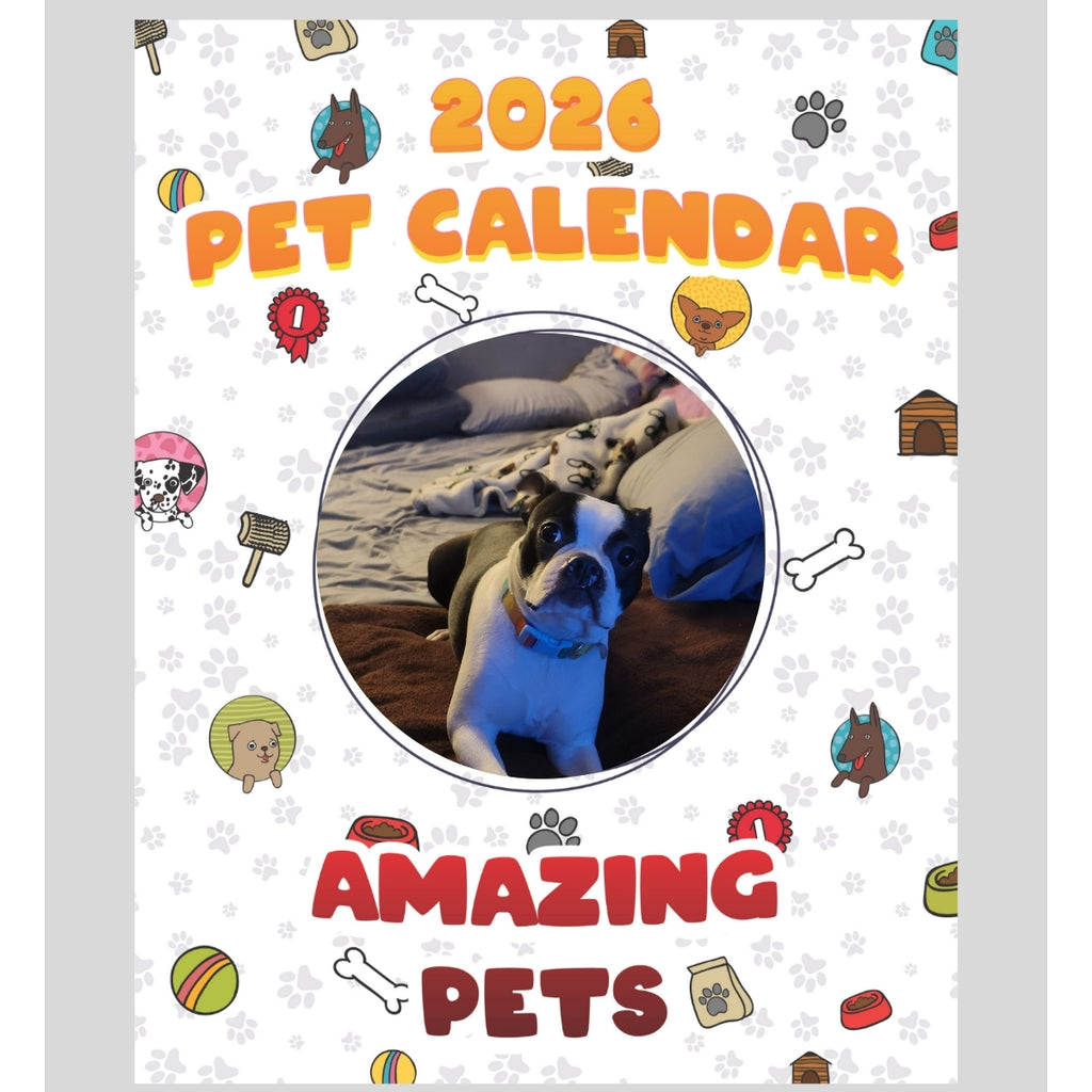 Boston terrier Stars in Stunning Pets: A 2026 Pet Calendar