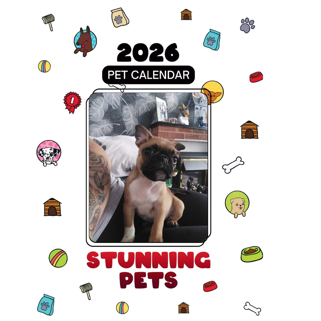 1 Headlines Stunning Pets: A 2026 Pet Calendar
