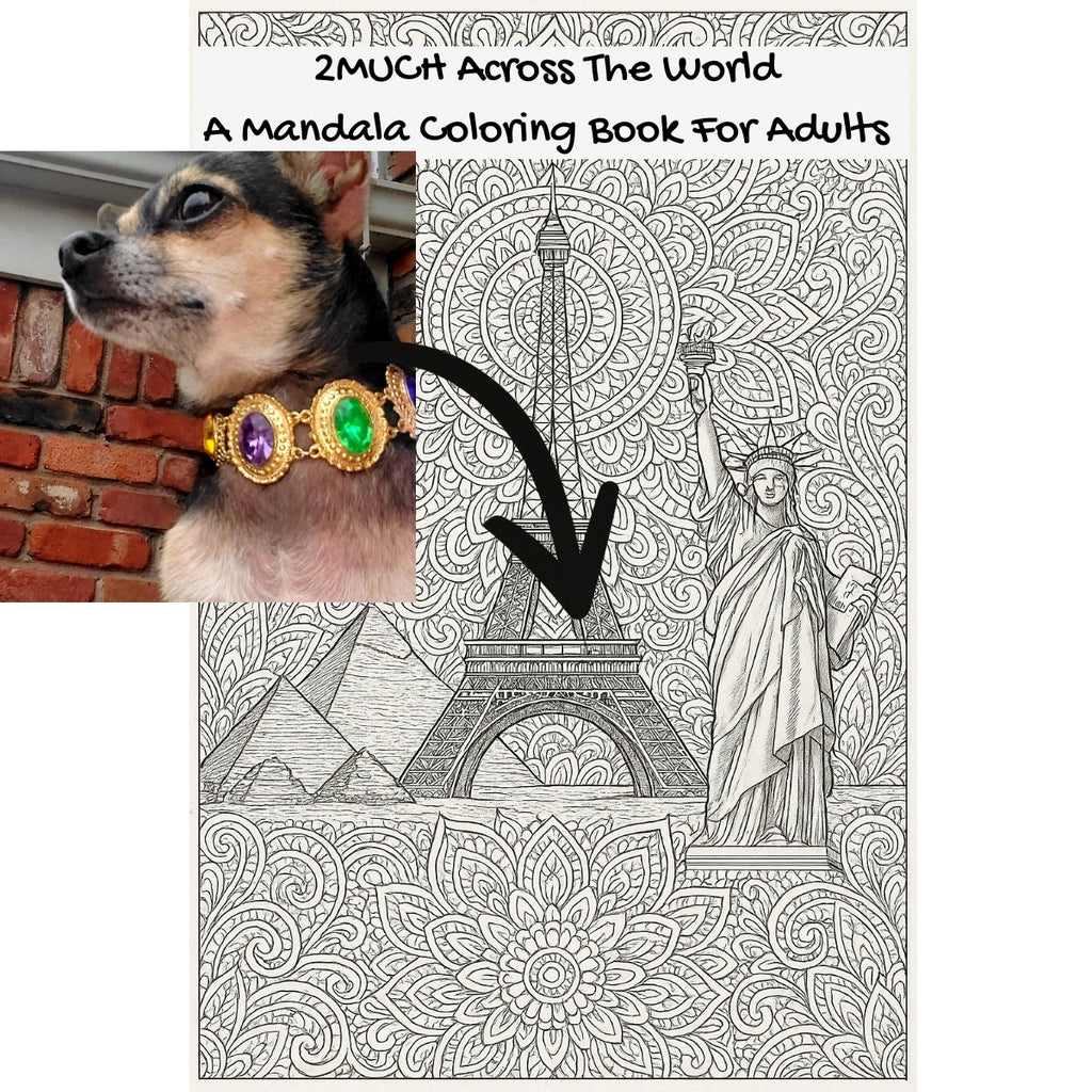 2MUCH Across The World: A Mandala Coloring Book For Adults