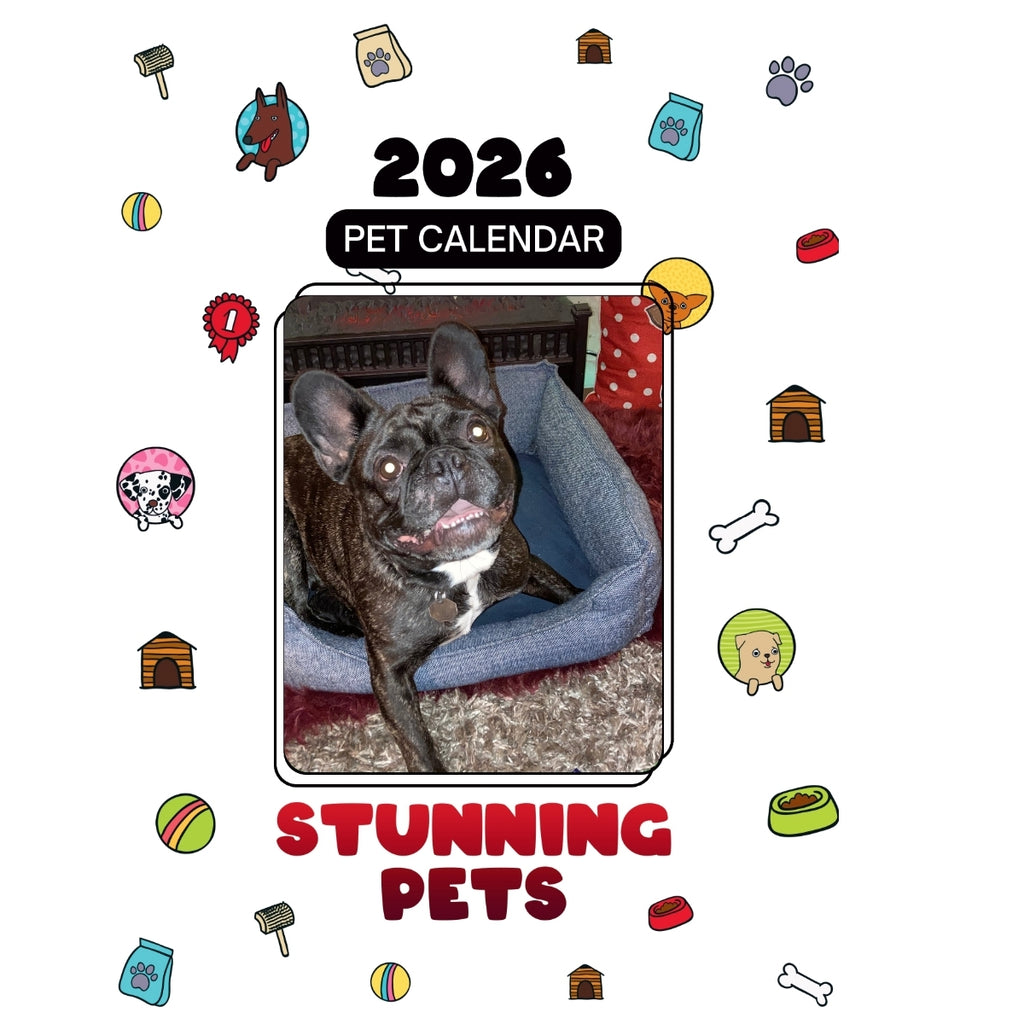 French Bulldog Headlines Stunning Pets: A 2026 Pet Calendar