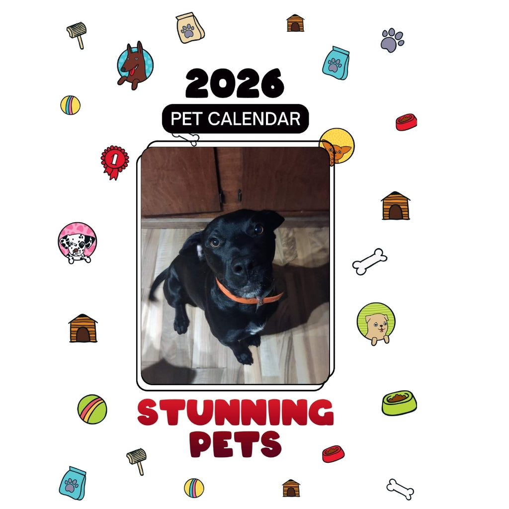 2Chainz Headlines Stunning Pets: A 2026 Pet Calendar