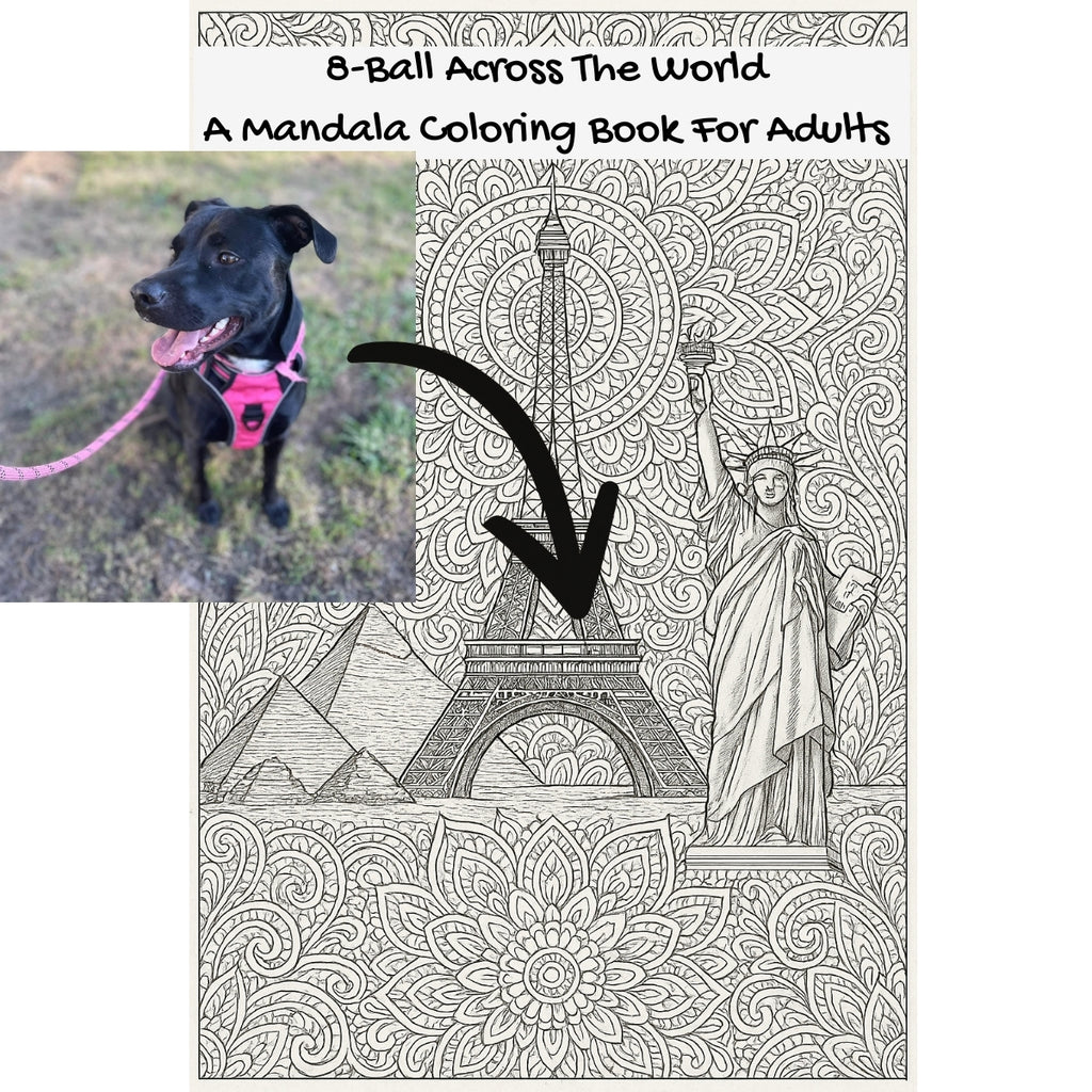 8-Ball Across The World: A Mandala Coloring Book For Adults