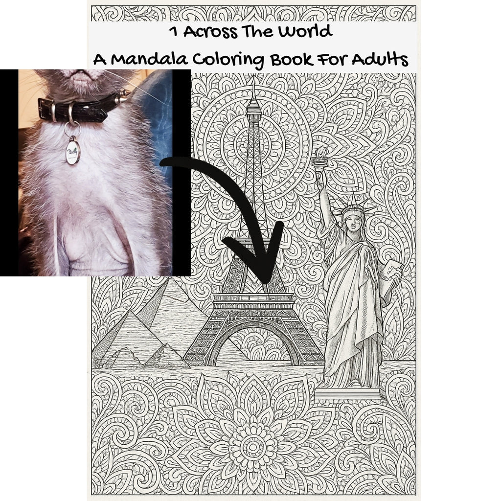 1 Across The World: A Mandala Coloring Book For Adults