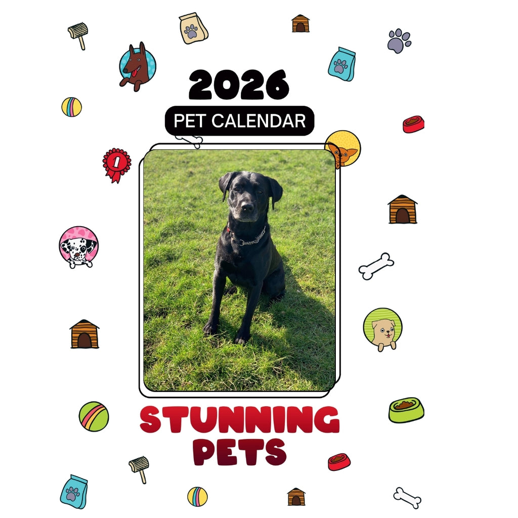 1 Headlines Stunning Pets: A 2026 Pet Calendar