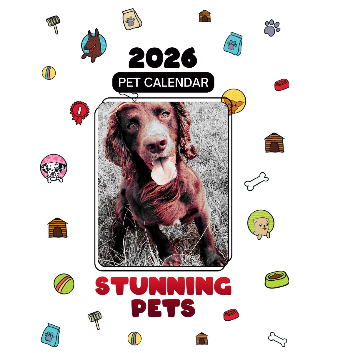 Ziggy Headlines Stunning Pets: A 2026 Pet Calendar